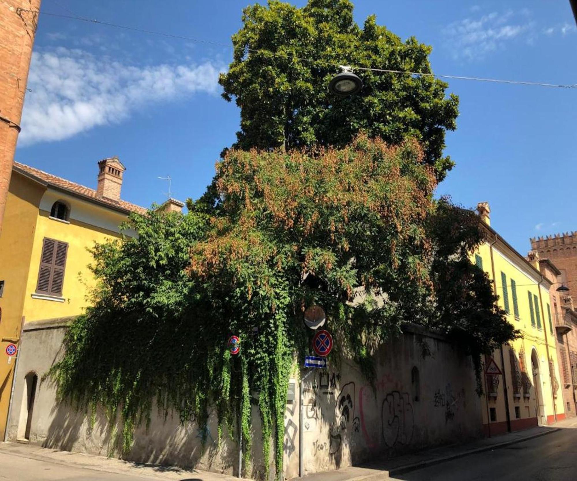 Apartment Il Giardino Segreto *